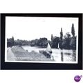 Berkshire PANGBOURNE Thames Postcard by TVAP (1...