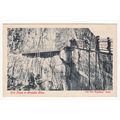 Sea Lions in Groudle Glen Isle of Man Postcard ...