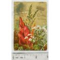 Vintage: Christmas card - flowers and leaves