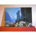 STAUBBACHFALL, LAUTERBRUNNEN used postcard 2004...