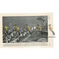 Birds Eye View, Chicago, USA, Book Illustration...