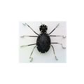 Blue Gold Stone Spider Stainless Wire Wrap Pin ...