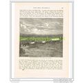 THE TRANSVAAL, COUNTRY AROUND PRETORIA, SOUTH A...