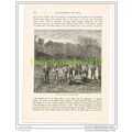 BUFFALO HUNTERS IN THE TRANSVAAL, SOUTH AFRICA,...