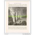 THE VICTORIA FALLS OF THE ZAMBESI, ZAMBIA/ZIMBA...