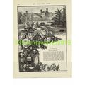 Roses, Cotsford Dick, Illustrated Poetry, Book ...