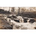 EC859 LONGDENDALE - SWALLOWS WOOD . R/P POSTCARD