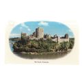 THE CASTLE, PEMBROKE. unused vintage postcard v...