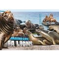 SIERRA LEONE 2016 SHEET MNH SEA LIONS LEONES MA...