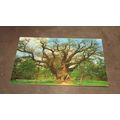 1980s J Salmon Postcard -Major Oak, Sherwood Fo...