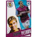 Topps PL I-Cards 2006/07 Collection: Aston Vill...