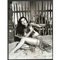 SEEKERS 1954 Laya Raki CORNEL LUCAS PORTRAIT #P17