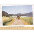 1957 postcard Irish Jaunting Car Lakes of Killa...
