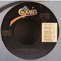 Merle Haggard - American Waltz / Farmers Daught...