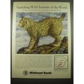 1966 Midland Bank Ad - Spanish Lynx - Vanishing Wild Animals of the World