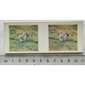 1960s Weetabix 3-D Animal Card No. 12 The Porcu...