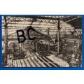 Postcard Winter Gardens Bournemouth Dorset Nr P...