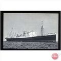 Holland-America Line MV DALERDYK Company Postcard