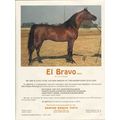 rancho bonita vista 1972 el bravo tio reina ara...