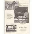 the fox farm 1972 cyanide afari cynara equestri...