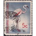 SOUTH WEST AFRICA, BIRDS, Lesser Flamingo, blue...