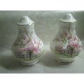 Royal Albert Blossomtime Salt and Pepper set