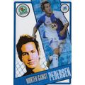 Topps PL I-Cards 2006/07 Collection: Blackburn ...
