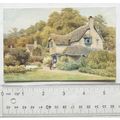 vintage postcard Selworthy Green, Somerset