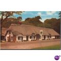 GB Postcard - The Cat & Fiddle, New Forest, Ham...