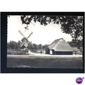Belgium OPENLUCHTMUSEUM Windmill Postcard (a)