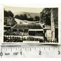 1938 Senior Service Our Countryside 32 A Downla...