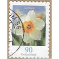 2006 Flowers - Narzisse 15745