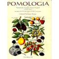 Pomologia, Das Ist Beschreibungen Und Abbildungen Der Besten Sorten Der Aepfel U