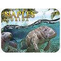 Naples Florida with Manatees Fridge Magnet