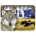 Yellowstone National Park with Wolf and Bison F...