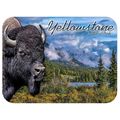 Yellowstone National Park with Bison Fridge Magnet
