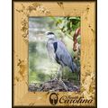 South Carolina with Flowers Laser Engraved Wood...