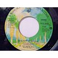 Debby Boone-You Light Up My Life / Hasta Manana...