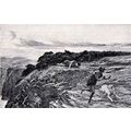 GADARENE SWINE 1893 Briton Rivière PRINT