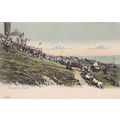 EC969 DOUGLAS HEAD . PRINTED POSTCARD
