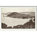 Wales LAKE VYRNWY Postcard by Photochrom (5745)