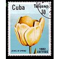 Cuba 1982 Flowers Tulip 30c Used Stamp