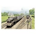 ptc6273 - Avon - GWR Steam Train Wickwar No.503...