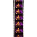 PK GEB - Y - G0171o . 1 STRIP OF 5 - 35MM - FIL...