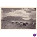 south africa postcard capetown table mountain c...