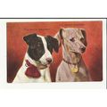 Animals FOX TERRIERS Art Postcard by Milton (594)