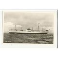 Swedish East Asia Co. MV BENARES Company Postcard