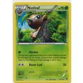 Pokemon XY Steam Siege 10/114 Nuzleaf
