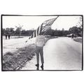 Elliott Landy Washington 1968 American Flag Vic...