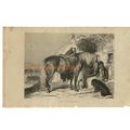 Favourites (Horse & Dogs), Book Illustration (P...